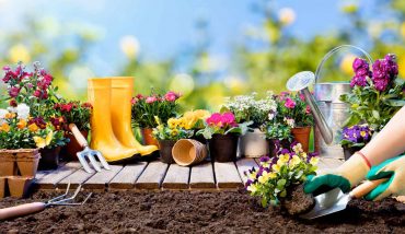 7 Consejos de jardinería