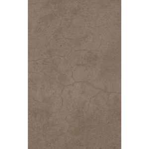 EX IMOLA CHOCOLATE 25X40 2902 (116) RIALTO PARED