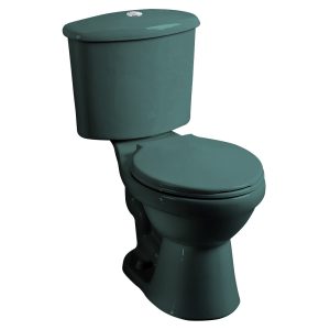 INODORO EVOLUCION VERDE TEAL 061 EDESA-S